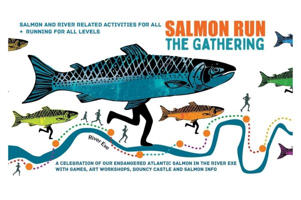 Salmon Run 2025