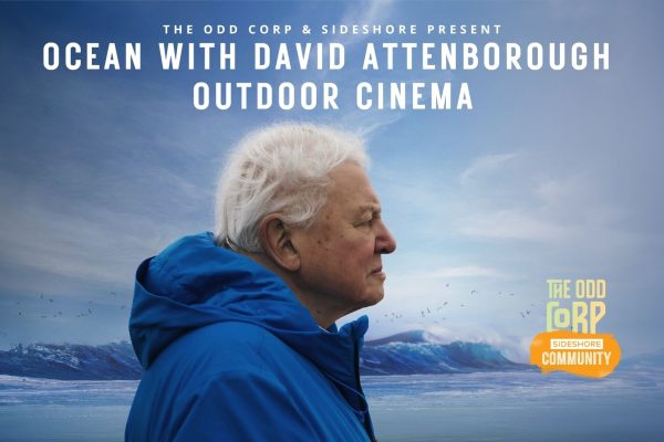 Outdoor Cinema – Saturday 2nd August